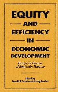 bokomslag Equity and Efficiency in Economic Development