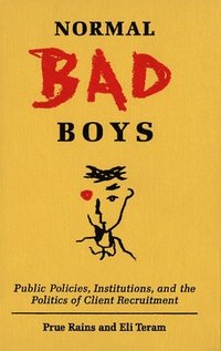 bokomslag Normal Bad Boys