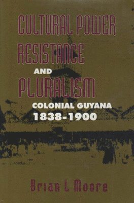 bokomslag Cultural Power, Resistance, and Pluralism: Volume 22