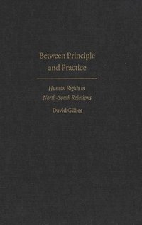 bokomslag Between Principle and Practice
