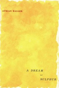 bokomslag A Dream of Sulphur: Volume 8
