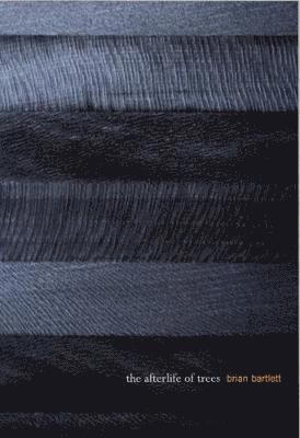 Brian Bartlett - Afterlife of Trees, Häftad