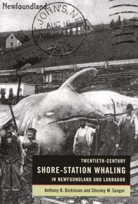 bokomslag Twentieth-Century Shore-Station Whaling in Newfoundland and Labrador