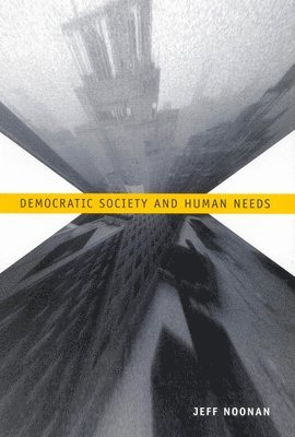 bokomslag Democratic Society and Human Needs