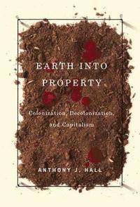 bokomslag Earth into Property