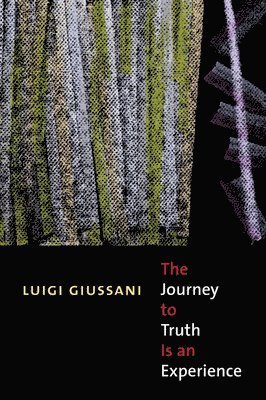 The Journey to Truth is an Experience 1