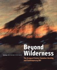 bokomslag Beyond Wilderness