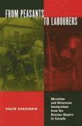 bokomslag From Peasants to Labourers