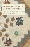In the Aftermath of Catastrophe