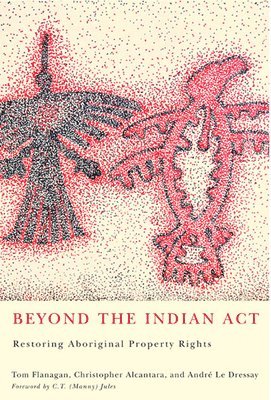 bokomslag Beyond the Indian Act