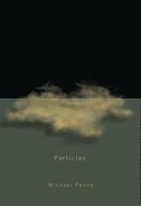 bokomslag Particles: Volume 23