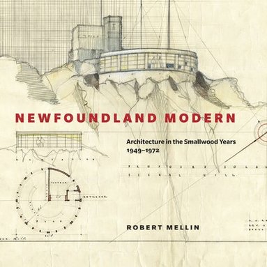 bokomslag Newfoundland Modern