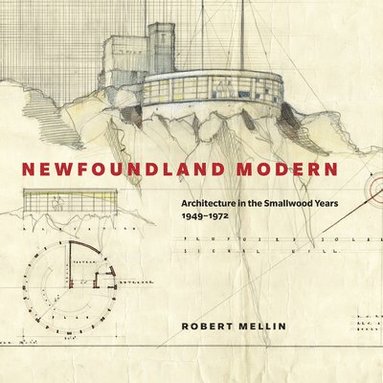 bokomslag Newfoundland Modern: Volume 7