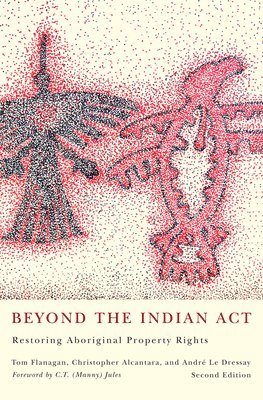 bokomslag Beyond the Indian Act