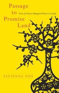bokomslag Passage to Promise Land
