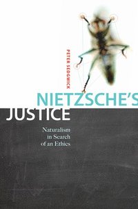 bokomslag Nietzsche's Justice: Volume 61