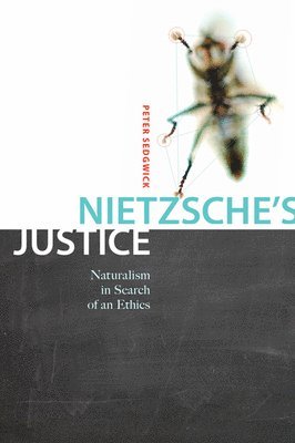 Nietzsche's Justice: Volume 61 1