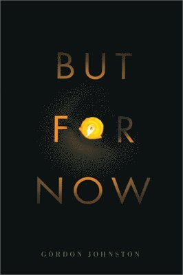 Gordon Johnston - But for Now, Häftad