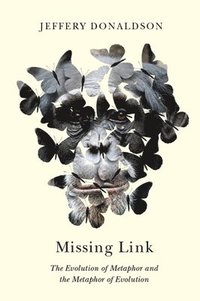 bokomslag Missing Link