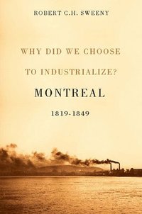 bokomslag Why Did We Choose to Industrialize?: Volume 28