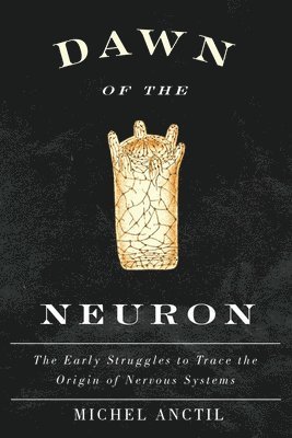 Dawn of the Neuron 1