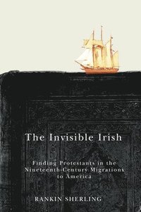 bokomslag The Invisible Irish
