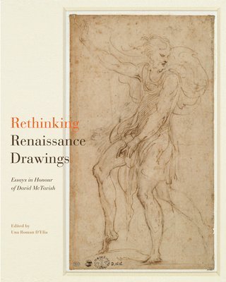 bokomslag Rethinking Renaissance Drawings