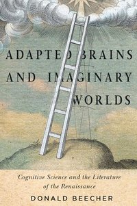 bokomslag Adapted Brains and Imaginary Worlds