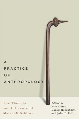 bokomslag A Practice of Anthropology