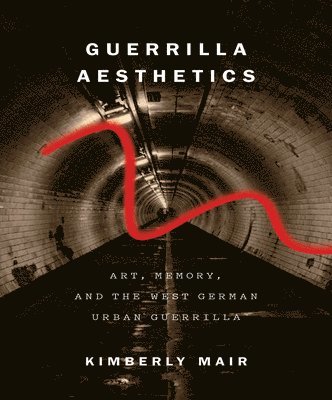 bokomslag Guerrilla Aesthetics