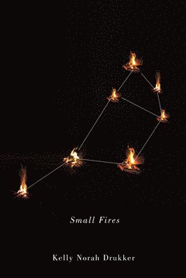 bokomslag Small Fires: Volume 36