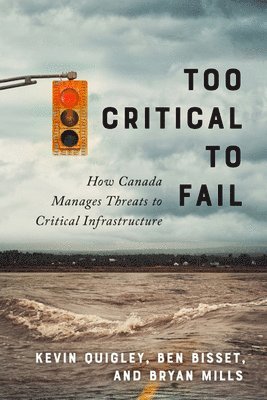 Too Critical to Fail 1