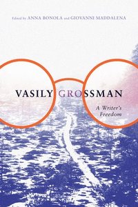 bokomslag Vasily Grossman