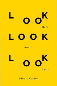 bokomslag Look Here Look Away Look Again: Volume 46