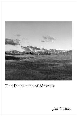 bokomslag Experience of Meaning