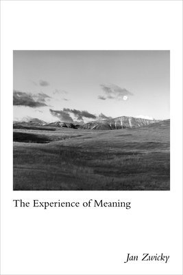 The Experience of Meaning 1