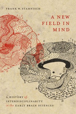 A New Field in Mind 1
