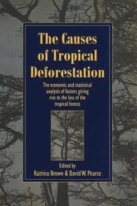 bokomslag Causes of Tropical Deforestation