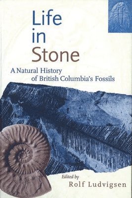 Rolf Ludvigsen - Life in Stone, Inbunden
