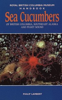 bokomslag Sea Cucumbers of British Columbia, Southeast Alaska and Puget Sound