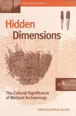 Hidden Dimensions 1