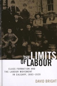 bokomslag The Limits of Labour