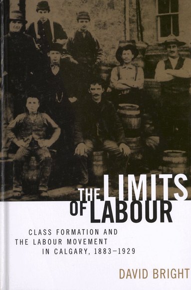 David Bright - Limits of Labour, Häftad
