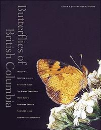 bokomslag Butterflies of British Columbia