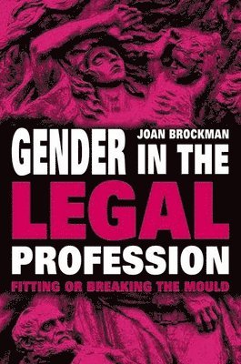 bokomslag Gender in the Legal Profession