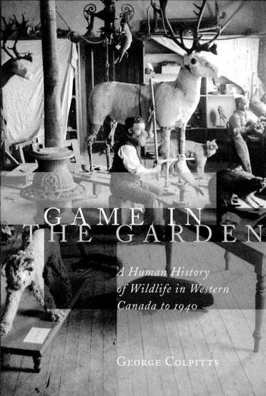 George Colpitts - Game in the Garden, Inbunden