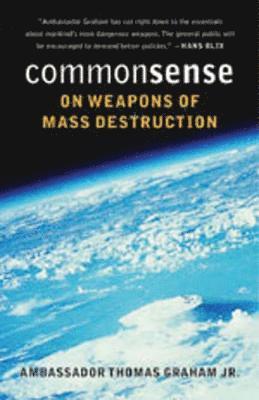bokomslag Common Sense On Weapons Of Mass Destruction