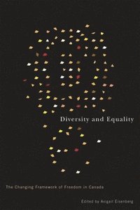 bokomslag Diversity and Equality