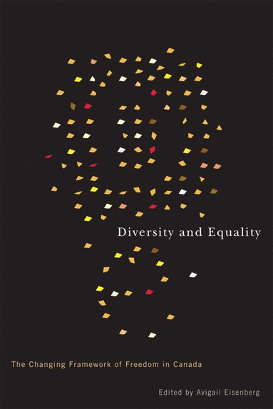 bokomslag Diversity and Equality