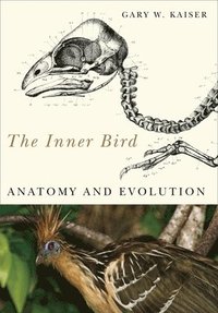 bokomslag The Inner Bird